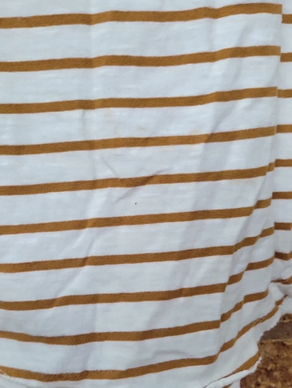 Free People Striped Scoop Neck Long Sleeve Top with Lace Cuff Cottom Size Medium